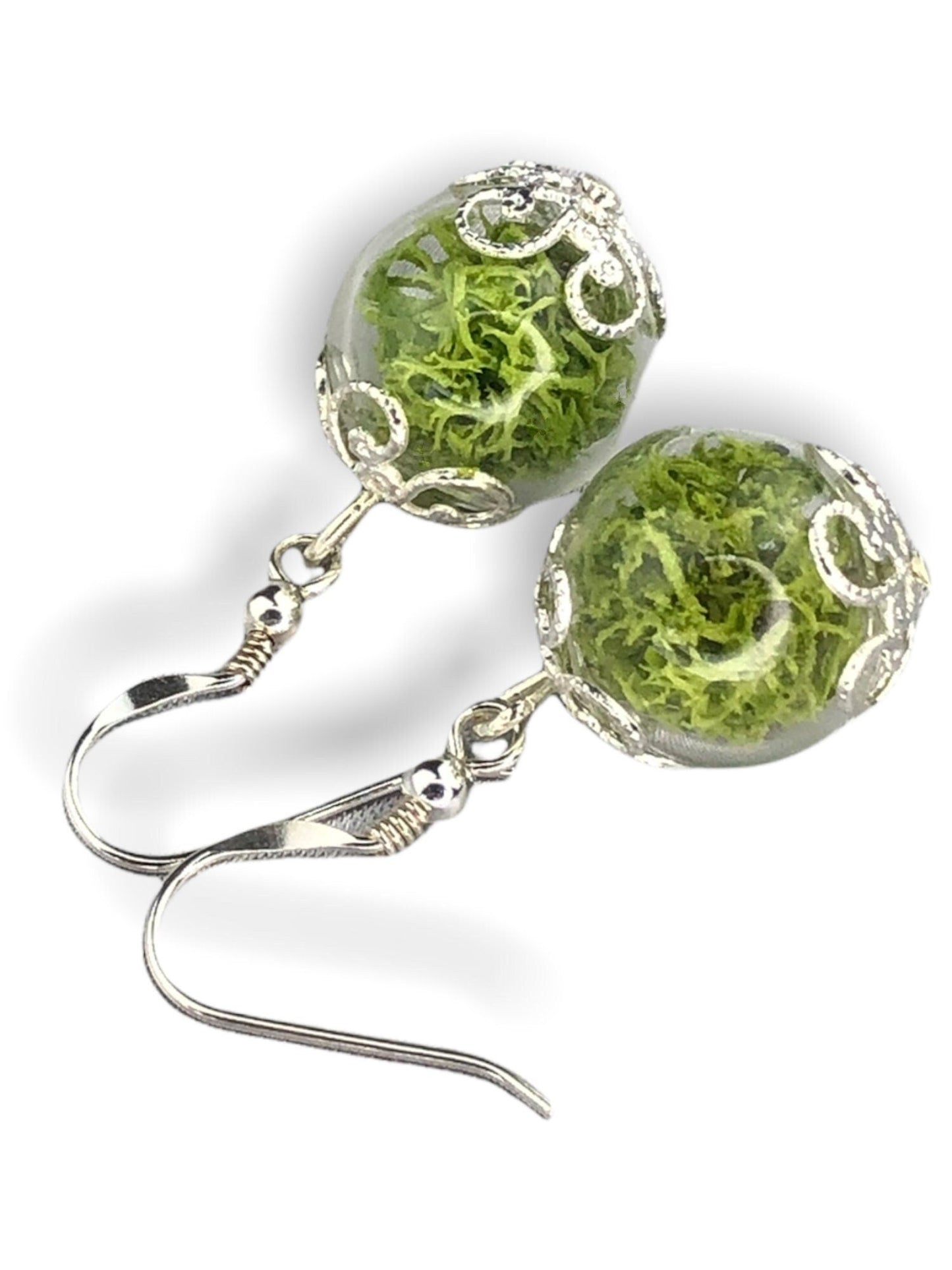 Real Moos Kolczyki - 925 Sterling Silver Jewelry - Kolczyki terrarium botaniczne - EAR925-10